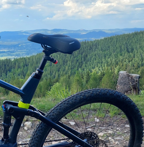 Budniki 20.05.24 - Karkonosze